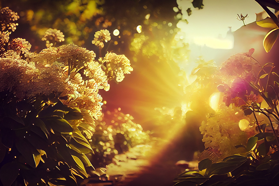 αντλίες θερμότητας- περιβάλλον