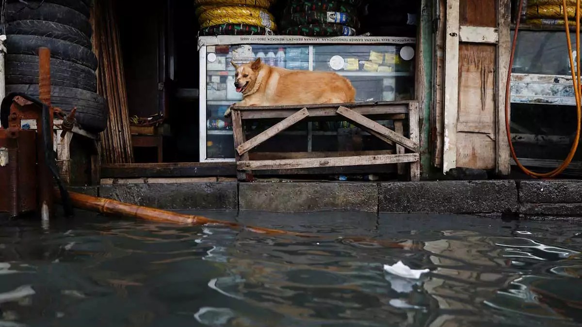 Ινδονησία: 16 νεκροί και 6 αγνοούμενοι από φονικές πλημμύρες και κατολισθήσεις στο νησί της Σουμάτρα
