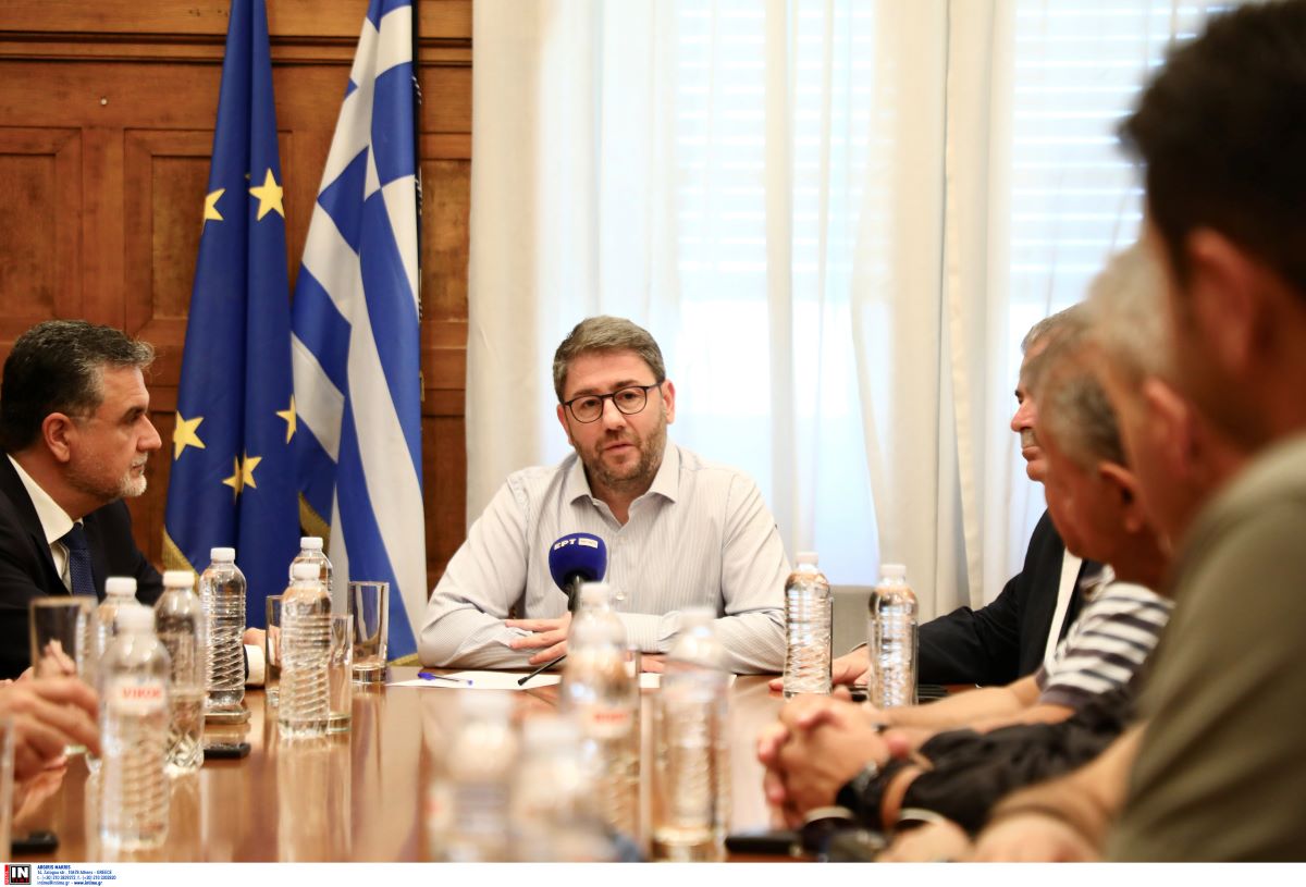 Νίκος Ανδρουλάκης εποχικοί πυροσβέστες