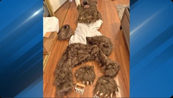 αρκούδα απάτη