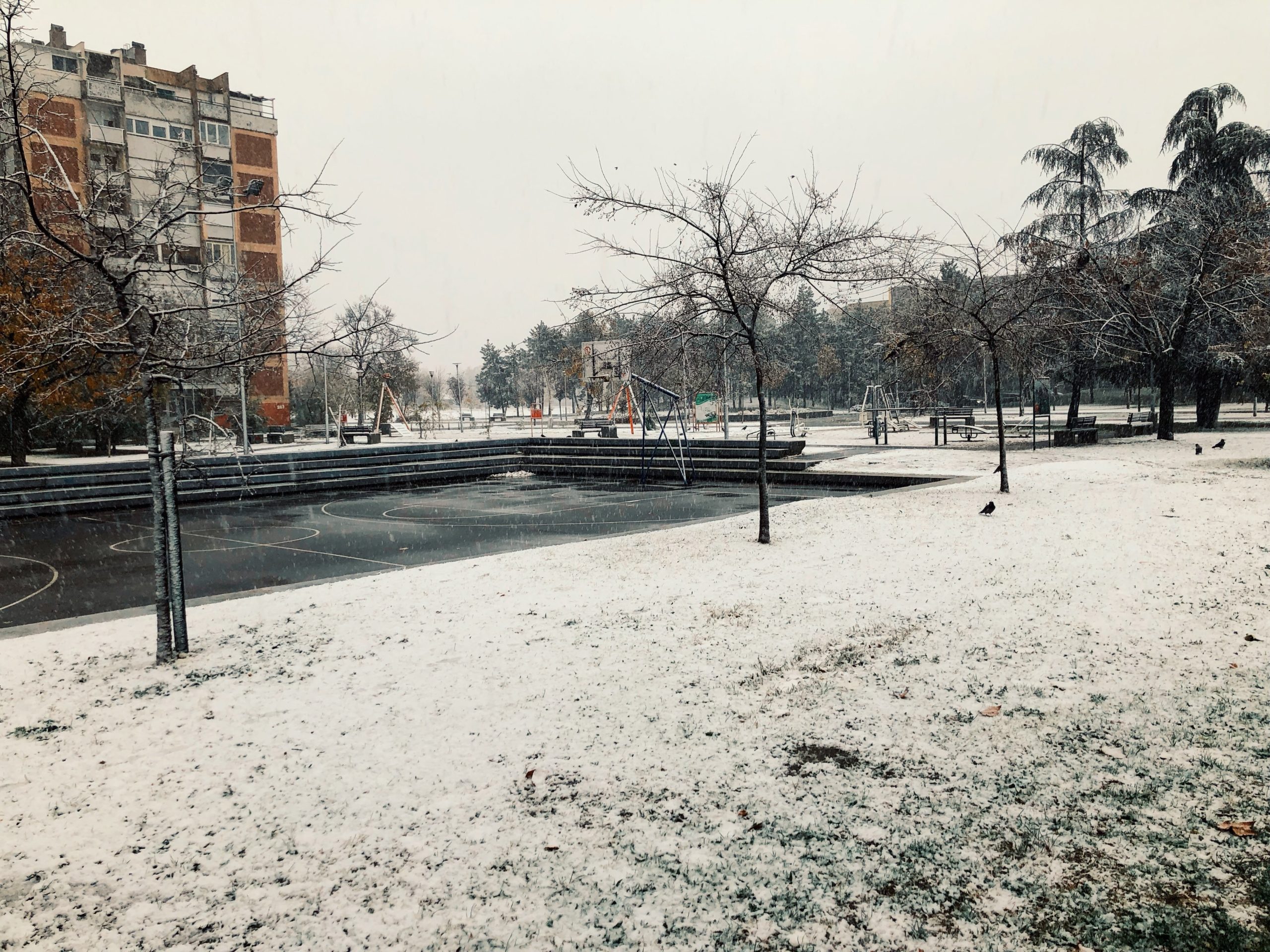 Σερβία: Χωρίς ρεύμα 10.000 νοικοκυριά εξαιτίας των σφοδρών χιονοπτώσεων – Προβλήματα και στις συγκοινωνίες