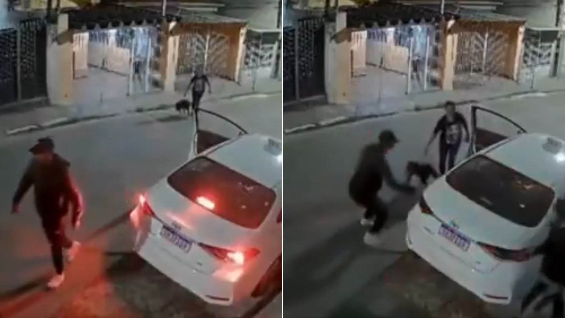 Βίντεο: Οι κλέφτες… ατύχησαν – Η στιγμή που μητέρα απελευθερώνει τον σκύλο της για να προστατέψει την οικογένειά της