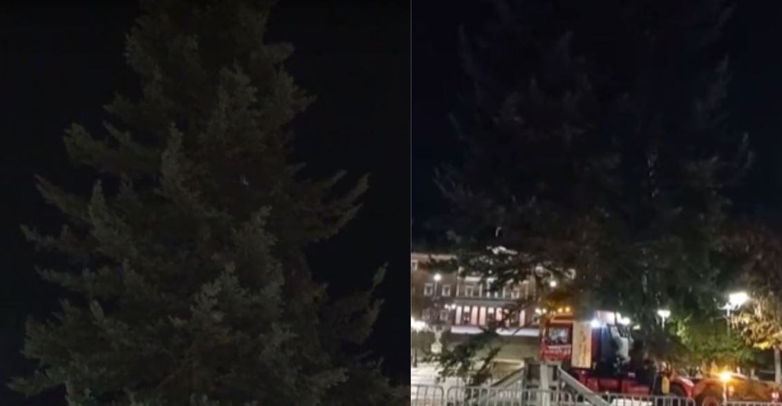 Στην πλατεία Συντάγματος το 19,5 μέτρων χριστουγεννιάτικο δέντρο – Έφτασε από τον Ταξιάρχη Χαλκιδικής – Δείτε βίντεο