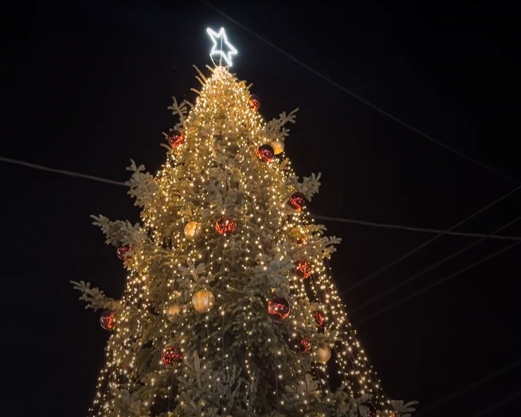 Χαλκιδική: Άναψε στον Ταξιάρχη το πρώτο χριστουγεννιάτικο δέντρο στην Ελλάδα – ΒΙΝΤΕΟ