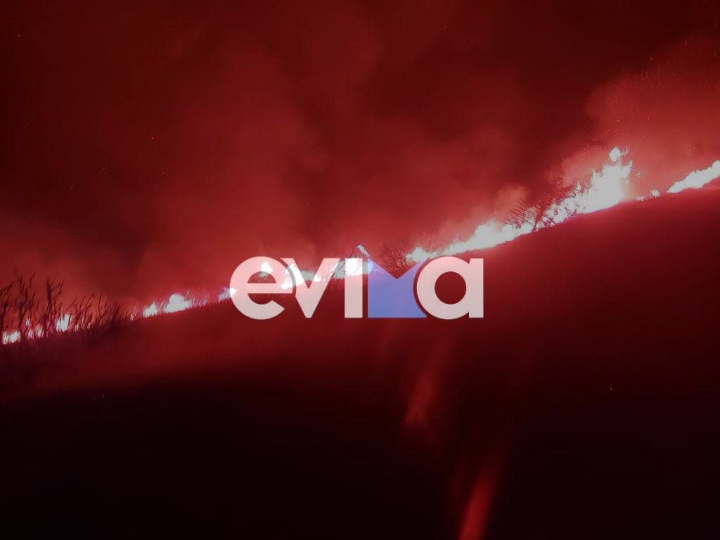 Εύβοια: Μεγάλη φωτιά στους Τσακαίους – Επιχειρούν ισχυρές δυνάμεις της Πυροσβεστικής