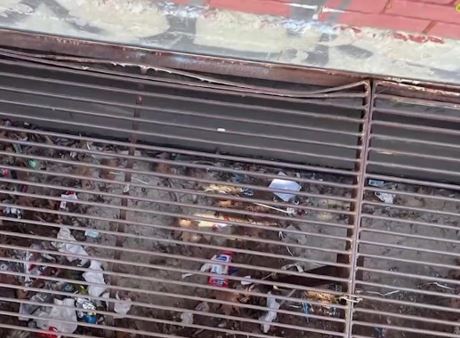 Νέα Ιωνία: «Αν δεν έσκυβε, το κεφάλι του θα ήταν θρυμματισμένο» – ΕΔΕ για το bullying σε 12χρονο που εγκλώβισαν σε φρεάτιο