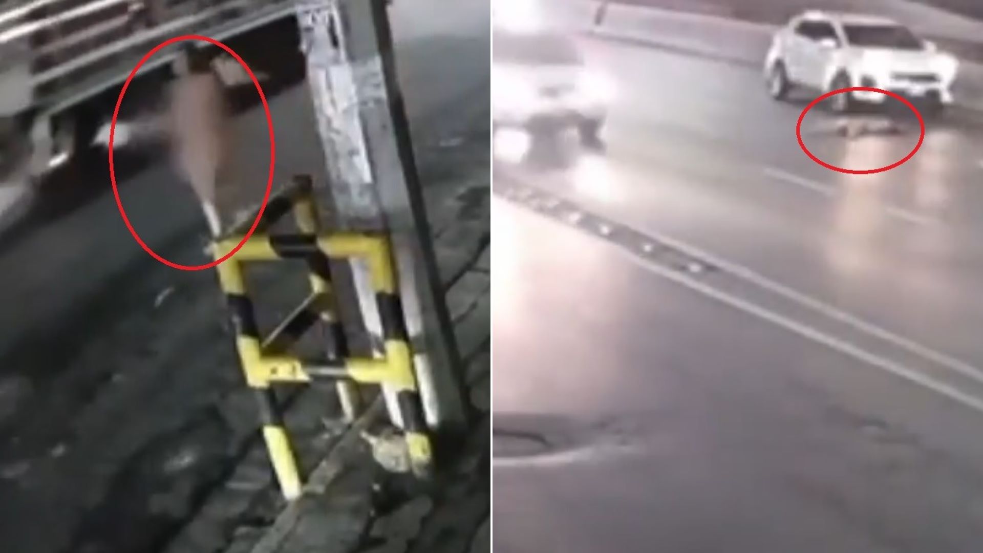 Μεξικό: Γυμνή γυναίκα που περιπλανιόταν στον δρόμο χτυπήθηκε από αυτοκίνητο – Συγκλονιστικό βίντεο