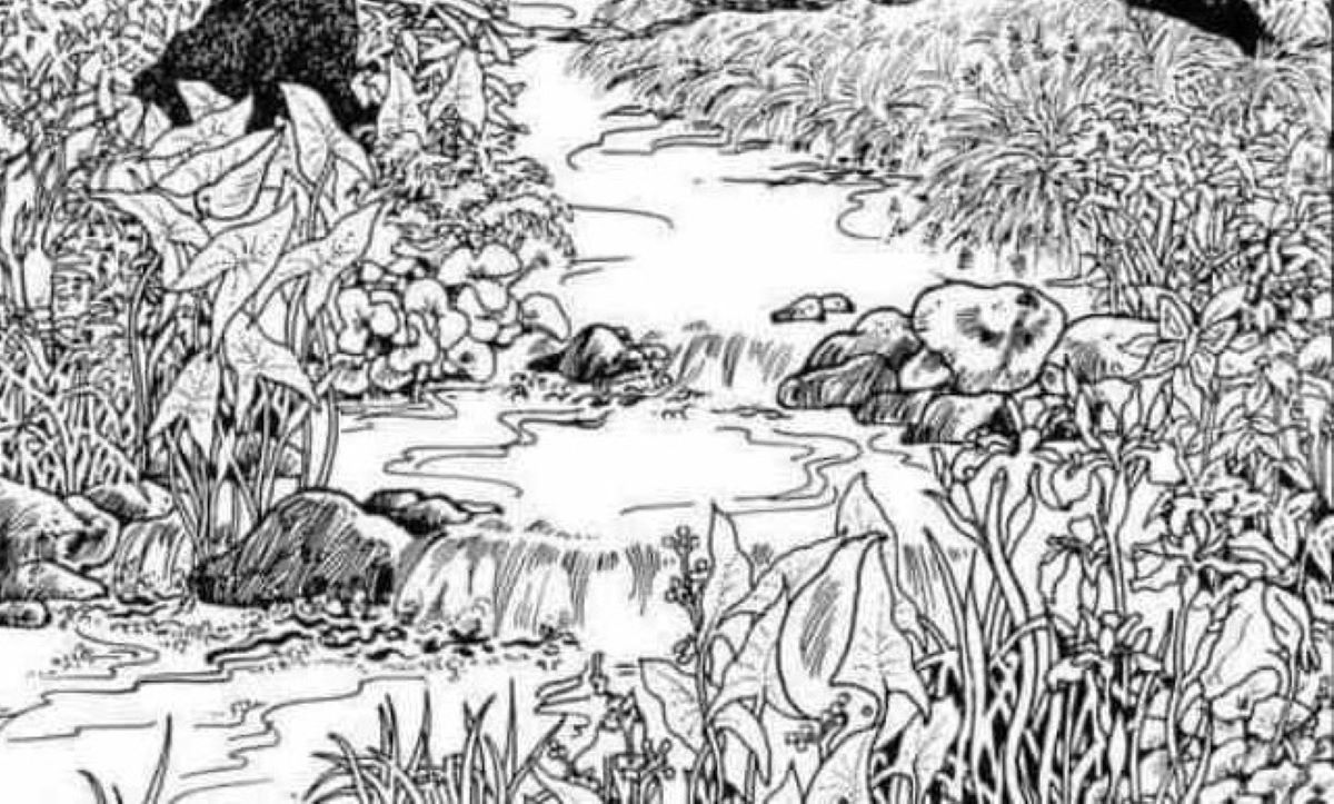 Οπτική ψευδαίσθηση: Μόνο το 1% των ανθρώπων θα βρει το πρόσωπο σε 5 δευτερόλεπτα