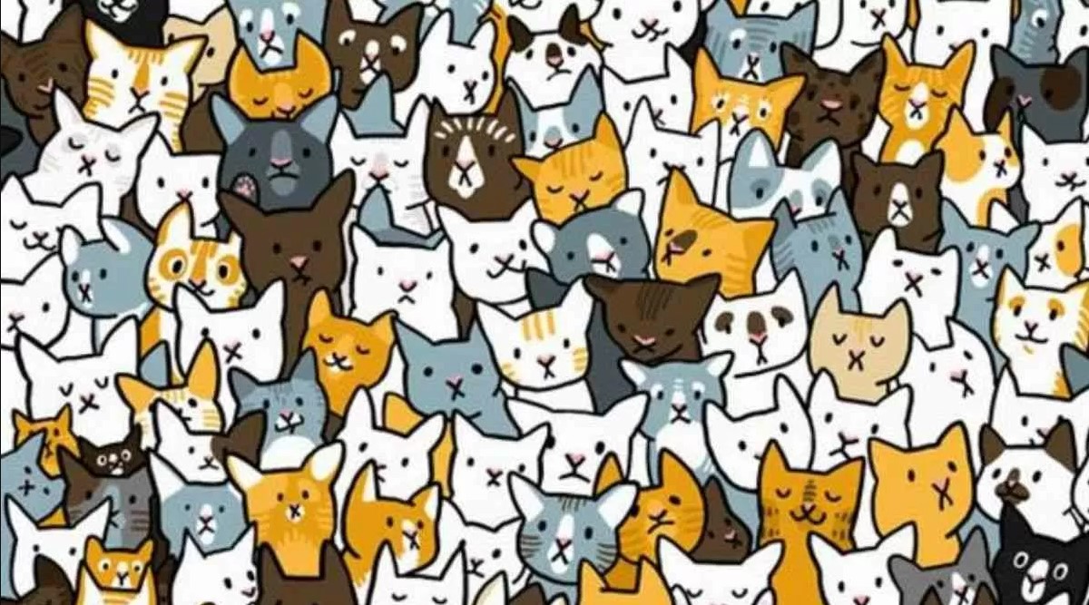 Οπτική ψευδαίσθηση: Μόνο αν έχεις παρατηρητικότητα ντετέκτιβ θα βρεις το κουνέλι σε 5 δευτερόλεπτα