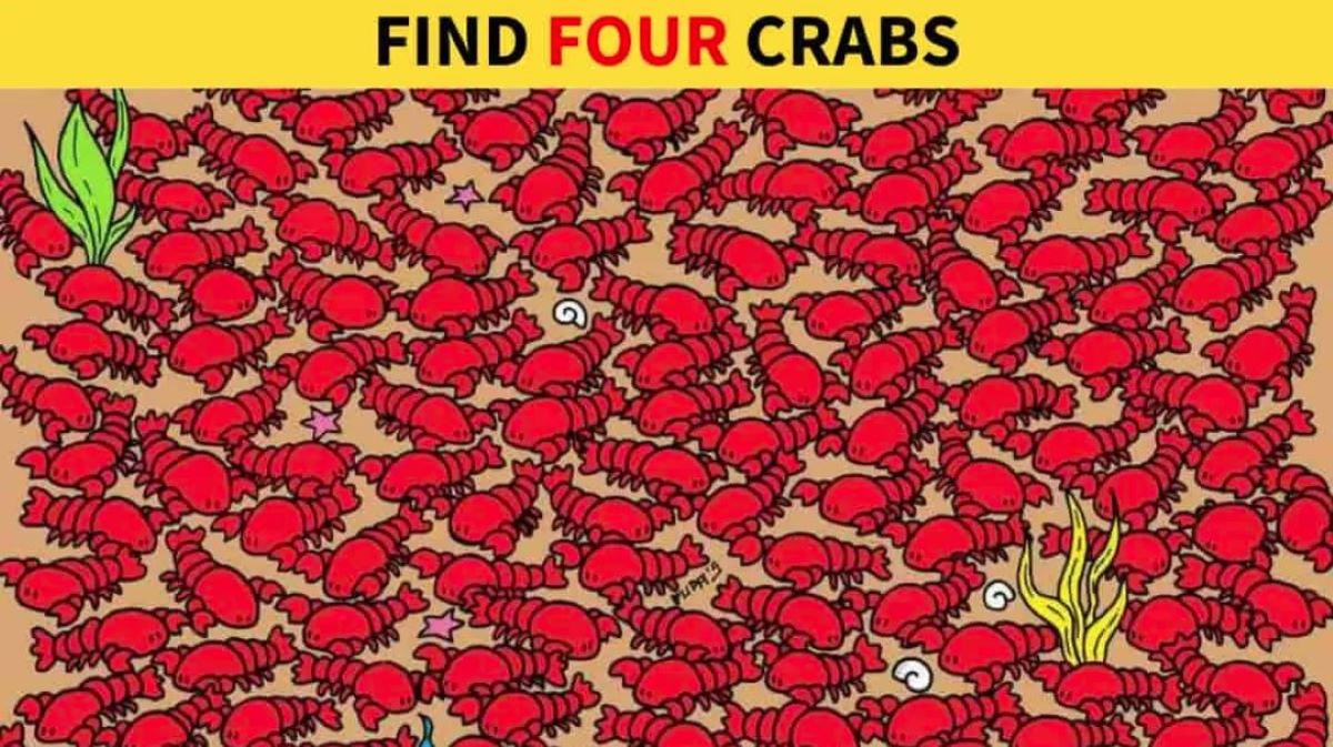 Οπτική ψευδαίσθηση: Μόνο το 3% των ανθρώπων μπορεί να βρει 4 καβούρια σε 10 δευτερόλεπτα