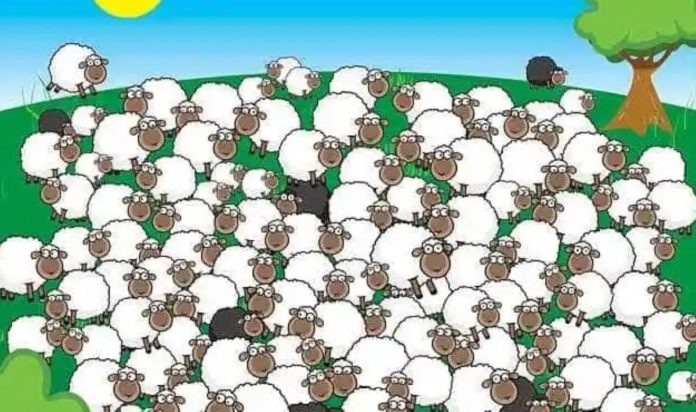 Οπτική ψευδαίσθηση: Μόνο 1 στους 10 ανθρώπους θα βρει τον σκύλο σε 7 δευτερόλεπτα