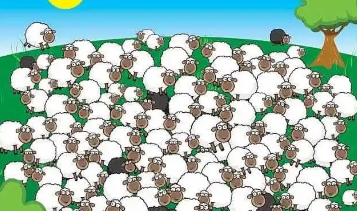 Οπτική ψευδαίσθηση: Μόνο 1 στους 10 ανθρώπους θα βρει τον σκύλο σε 7 δευτερόλεπτα