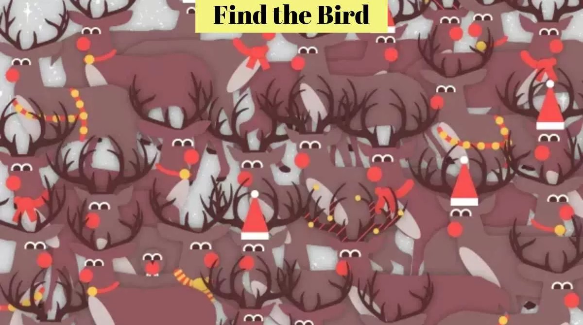 Οπτική ψευδαίσθηση: Μόνο αν είσαι ο Σέρλοκ Χολμς θα βρεις το πουλί σε 8 δευτερόλεπτα