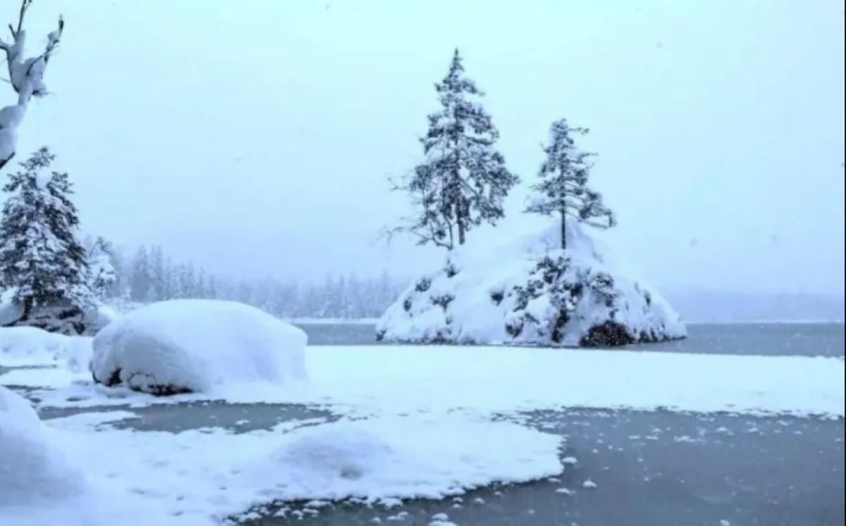 Οπτική ψευδαίσθηση: Μόνο αν έχετε αετίσια ματιά θα βρείτε την πολική αρκούδα σε 6 δευτερόλεπτα