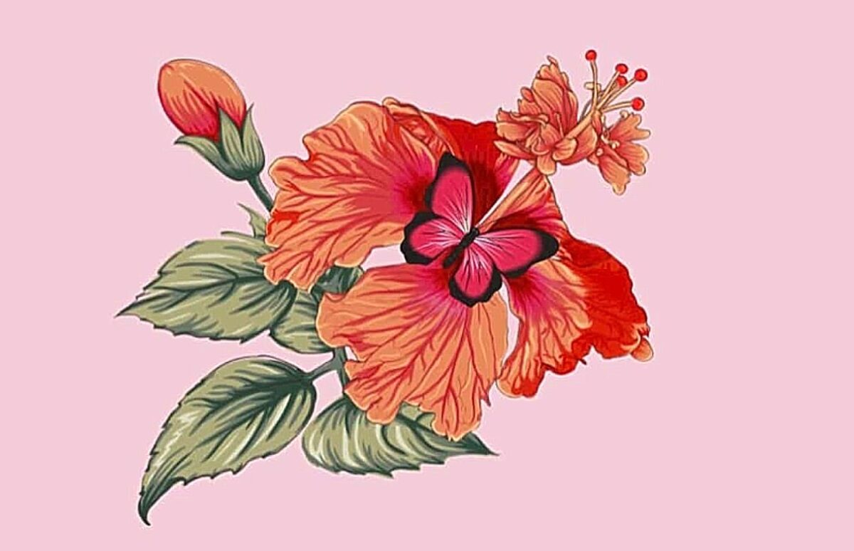 Τεστ προσωπικότητας: Ανακαλύψτε τον πραγματικό σας εαυτό – Αυτό που βλέπετε πρώτα αποκαλύπτει αν σας καθοδηγεί η πράξη ή η θεωρία