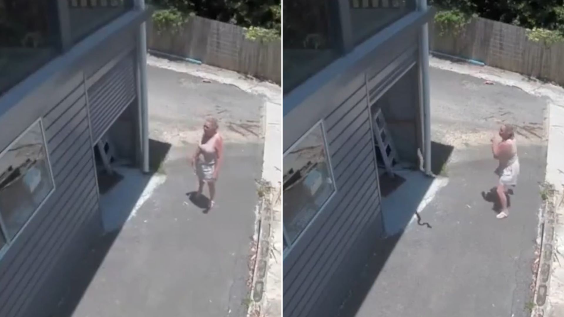 Βίντεο: Η στιγμή που πύθωνας κρέμεται από την οροφή γκαράζ – Αιωρήθηκε λίγα εκατοστά από το πρόσωπο γυναίκας