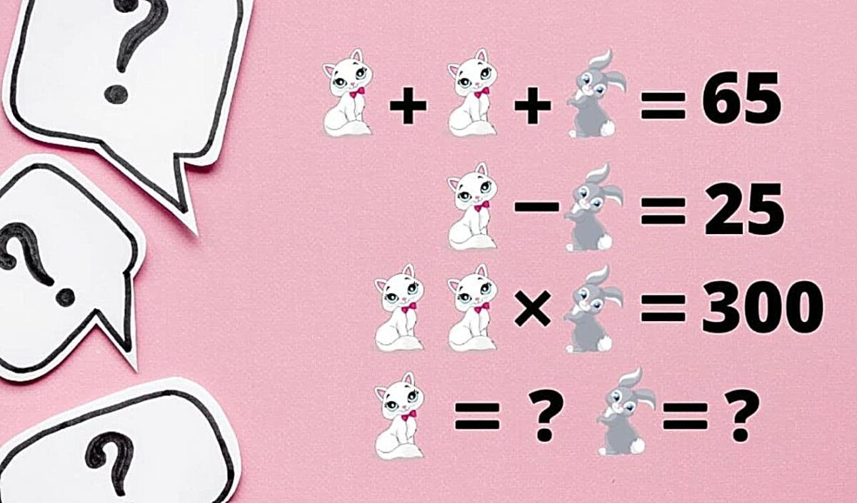 Τεστ IQ: Μπορείτε να βρείτε την αξία των ζώων σε λιγότερο από 22 δευτερόλεπτα