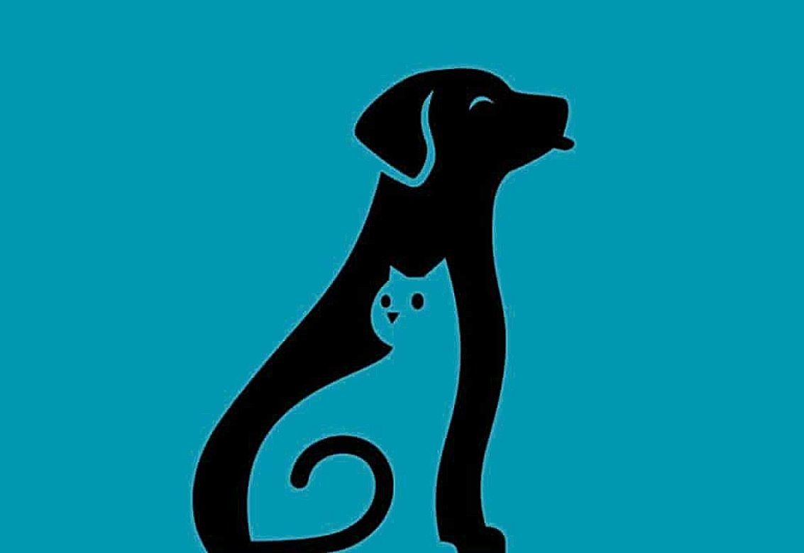 Τεστ προσωπικότητας: Αυτό που βλέπετε πρώτα στην εικόνα αποκαλύπτει τι σας δίνει περισσότερη ενέργεια στη ζωή