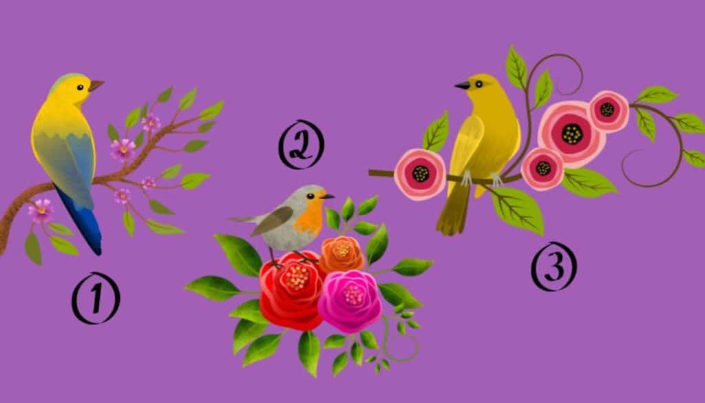 Τεστ προσωπικότητας: Το πτηνό που θα επιλέξετε αποκαλύπτει πώς αντιμετωπίζετε τις μεγάλες αλλαγές στη ζωή σας