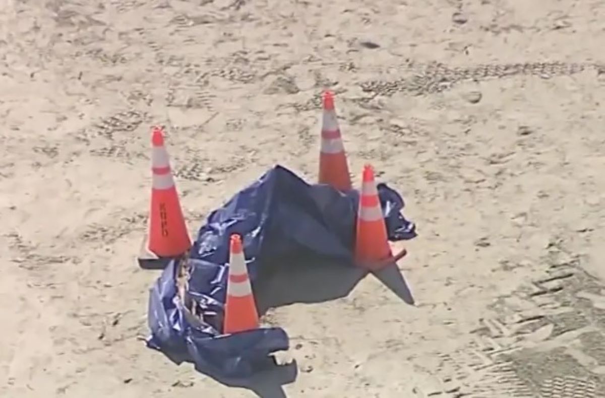 ΗΠΑ: Βρέθηκε ανθρώπινο κεφάλι σε παραλία – Τι ερευνούν οι αρχές