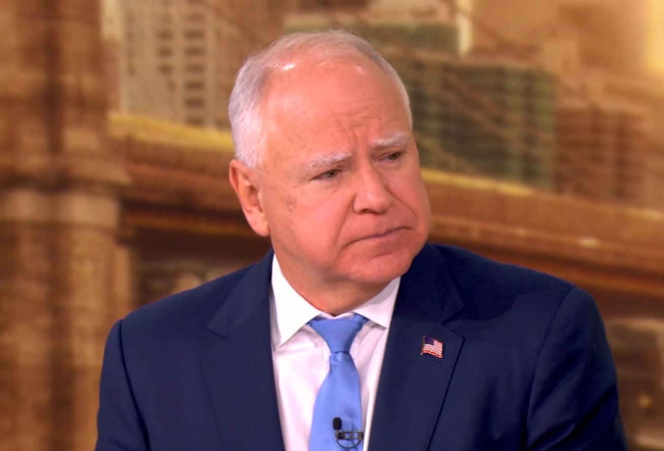 Αμερικανικές εκλογές 2024: «Έχουμε τις πιο δίκαιες, ελεύθερες και ασφαλείς εκλογές», λέει ο Γουόλτς – Τα μηνύματα που στέλνει