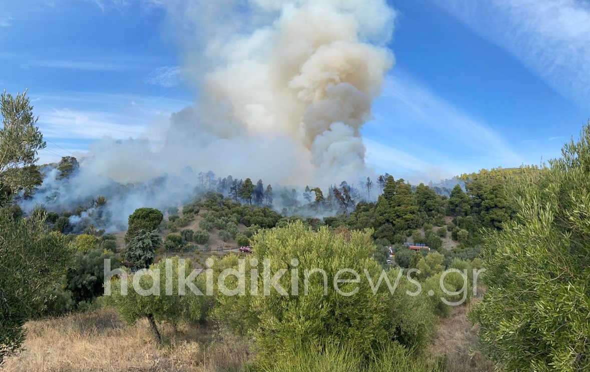 Φωτιά στην Χαλκιδική