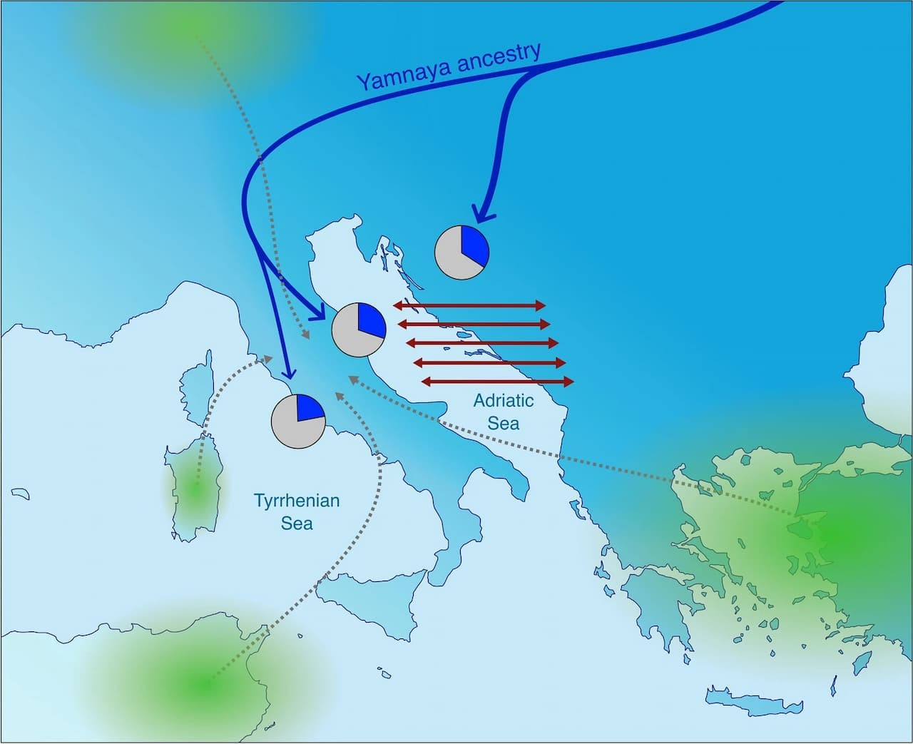 Η απεικόνιση των σεναρίων της μετακίνησης και της γενετικής εξέλιξης του πληθυσμού.