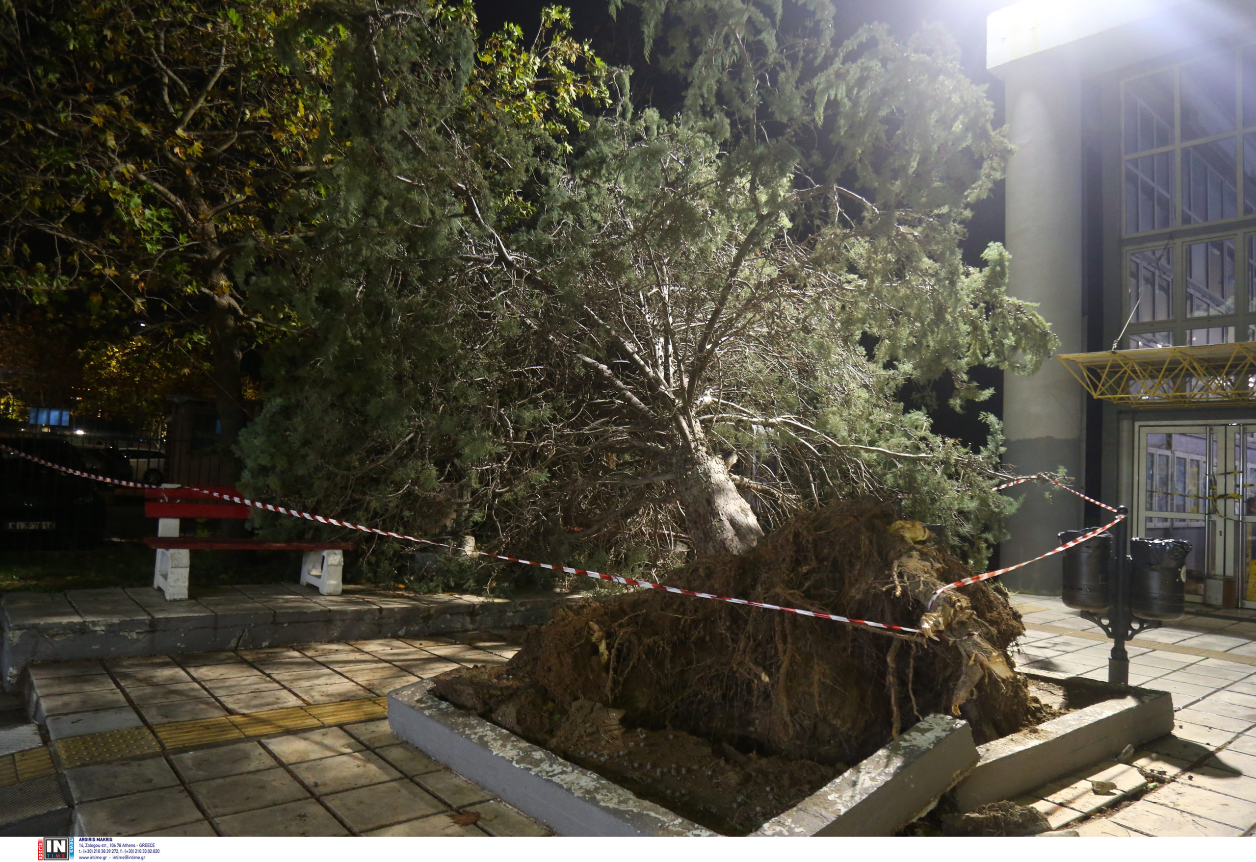 Κακοκαιρία Bora: Χωρίς ρεύμα για 30 ώρες στην ανατολική Θεσσαλονίκη – Σε απόγνωση οι κάτοικοι