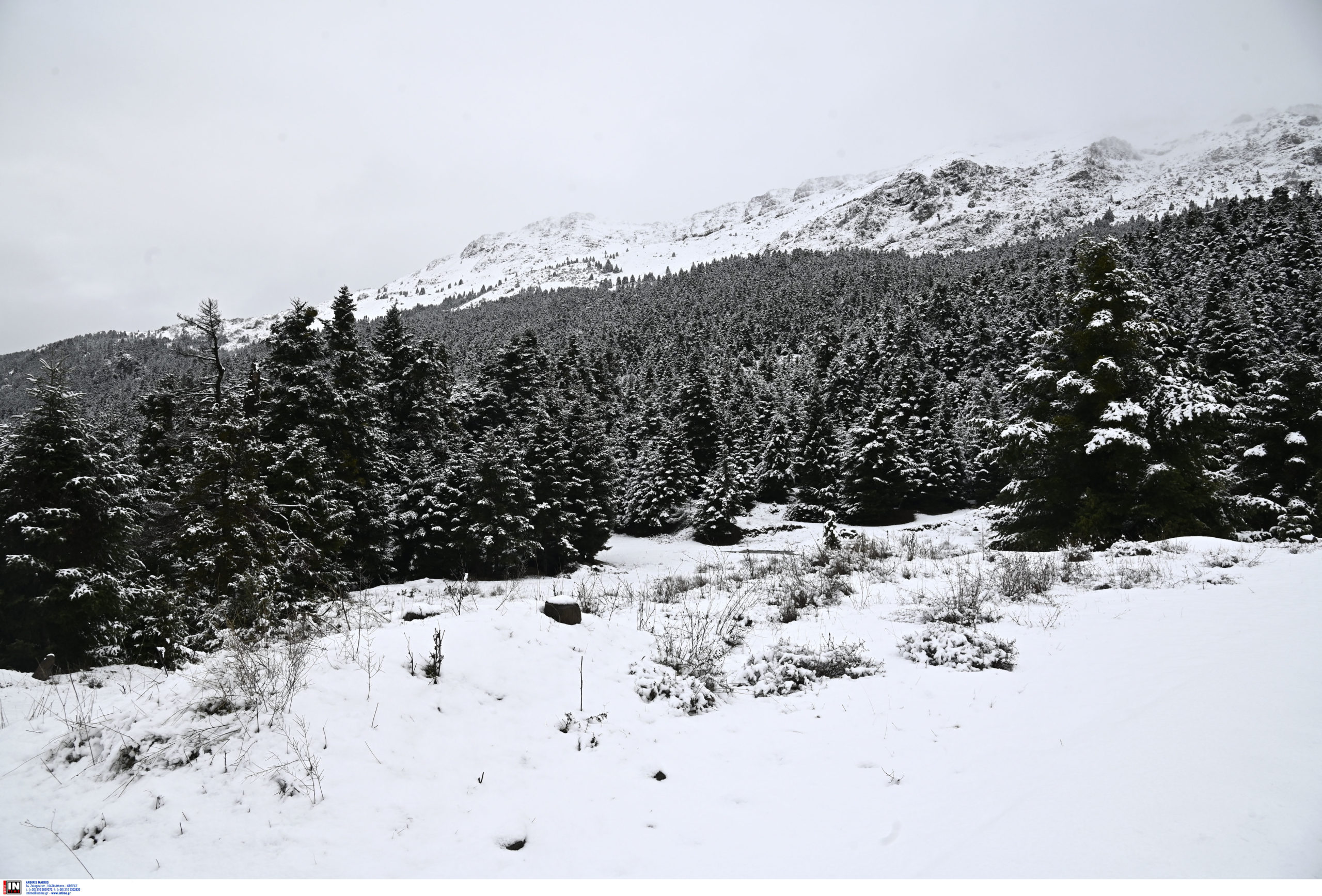 Κακοκαιρία: Στα «λευκά ντύθηκαν» πολλές περιοχές της χώρας – LIVE εικόνα από webcam