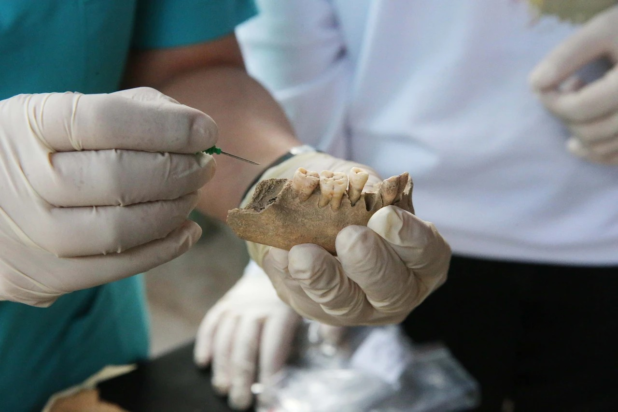 «Η πόλη των μονομάχων» αποκαλύπτει αρχαία γενετικά μυστικά. Φωτογραφία: ΑΑ