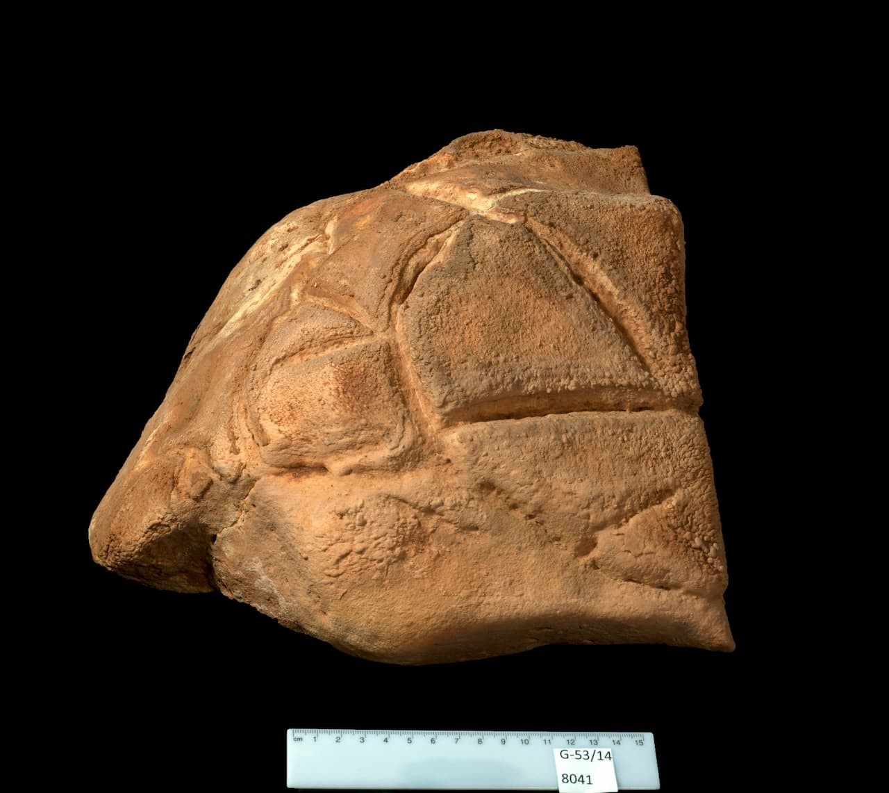 Ο βράχος της χελώνας. Φωτογραφία:Clara Amit / Israel Antiquities Authority