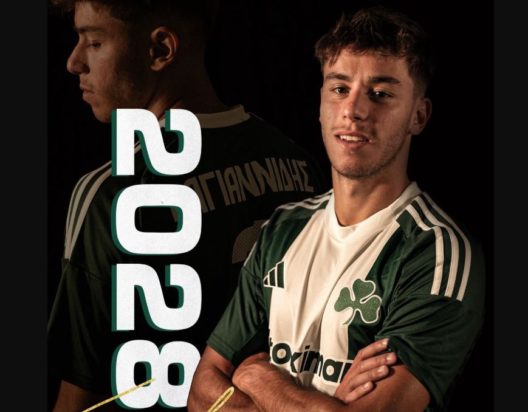 ΒΑΓΙΑΝΝΙΔΗΣ