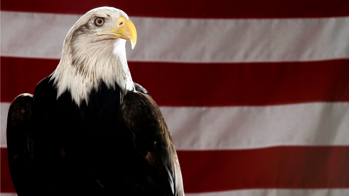 Τζο Μπάιντεν: Καθιερώνει τον καραφλό αετό το επίσημο πουλί των ΗΠΑ