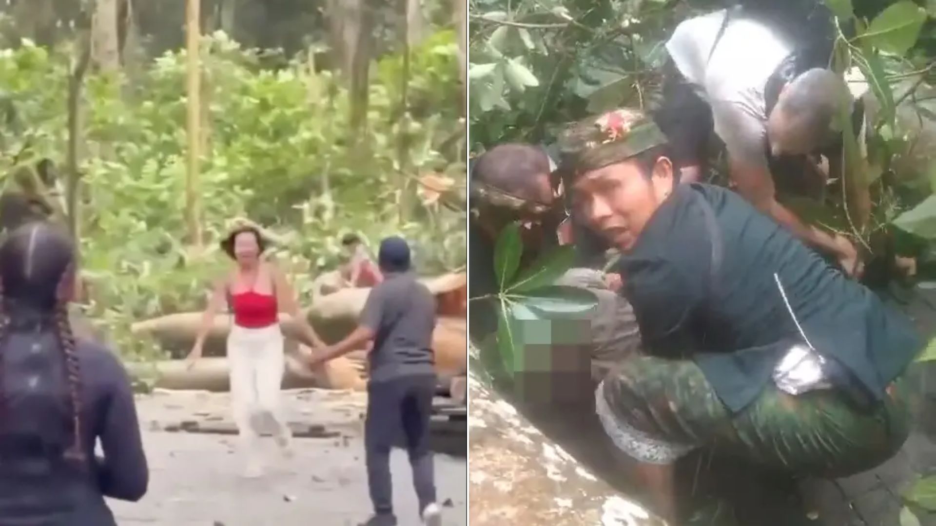 Μπαλί: Δύο τουρίστες νεκροί από πτώση τεράστιου δέντρου – ΒΙΝΤΕΟ