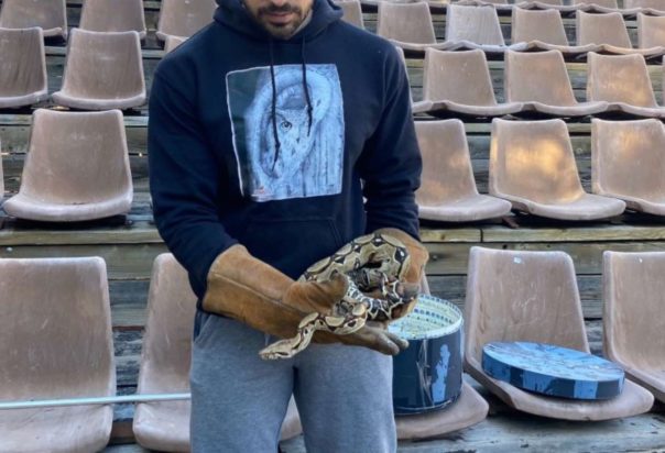 Ο βόας σφιγκτήρας που βρέθηκε στο θέατρο στου Φιλοπάππου.