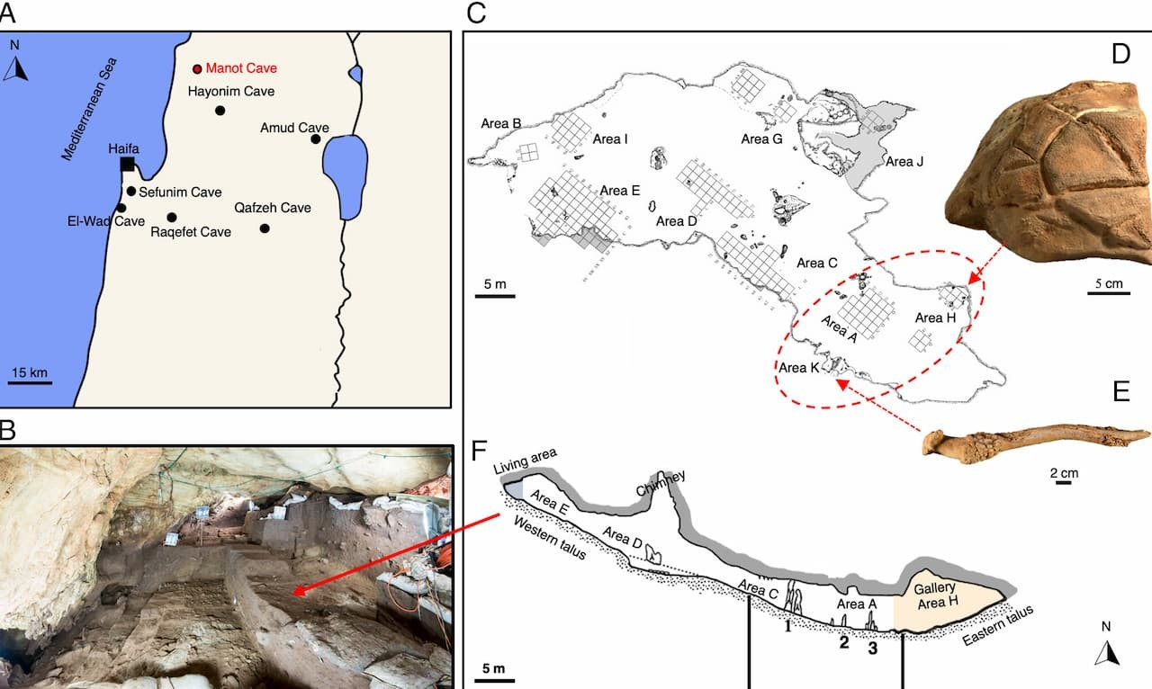 Τα ευρήματα ανακαλύφθηκαν στο βαθύτερο σημείο του σπηλαίου. Φωτογραφία: Omry Barzilai et al.