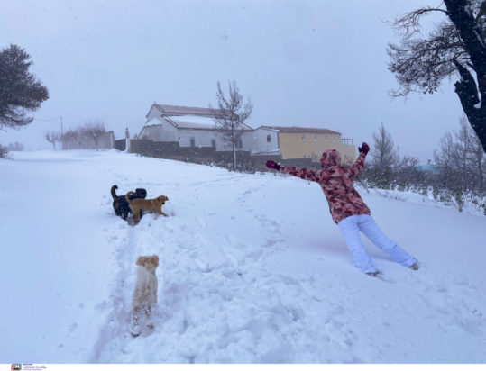 Κακοκαιρία χιόνια