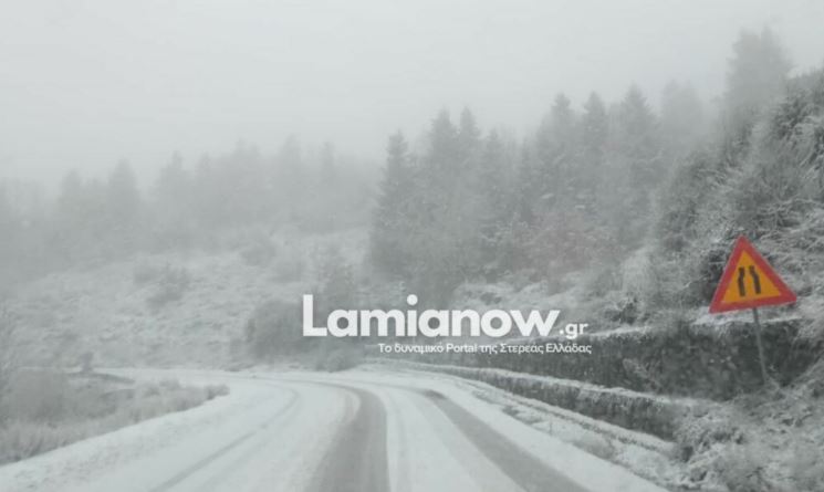 Κακοκαιρία «Elena»: Στα λευκά τα χωριά της Φθιώτιδας και των Τρικάλων – Δείτε φωτογραφίες και βίντεο