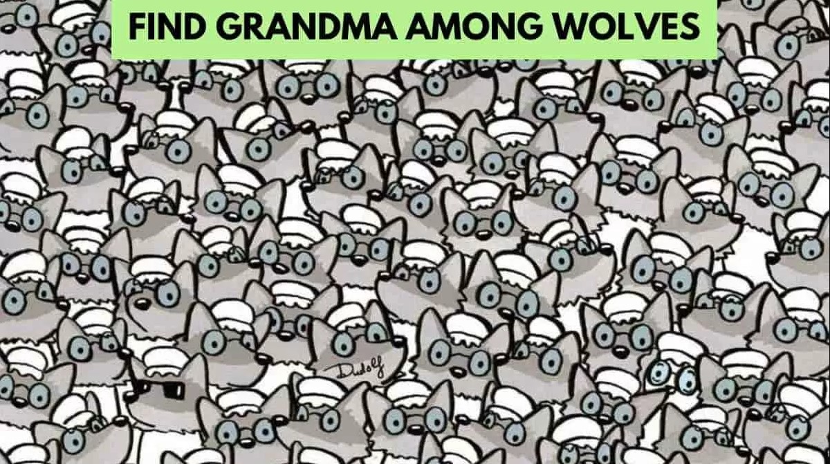 Οπτική ψευδαίσθηση: Μόνο το 2% των ανθρώπων θα βρει την γιαγιά σε 7 δευτερόλεπτα