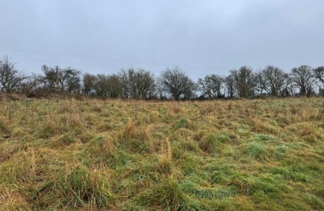 Οπτική ψευδαίσθηση: Μόνο 1 στους 10 ανθρώπους μπορεί να βρει τον σκύλο σε 10 δευτερόλεπτα