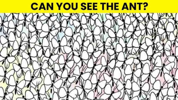 Οπτική ψευδαίσθηση: Μόνο αν είσαι ο Σέρλοκ Χολμς θα βρεις μυρμήγκι σε 10 δευτερόλεπτα