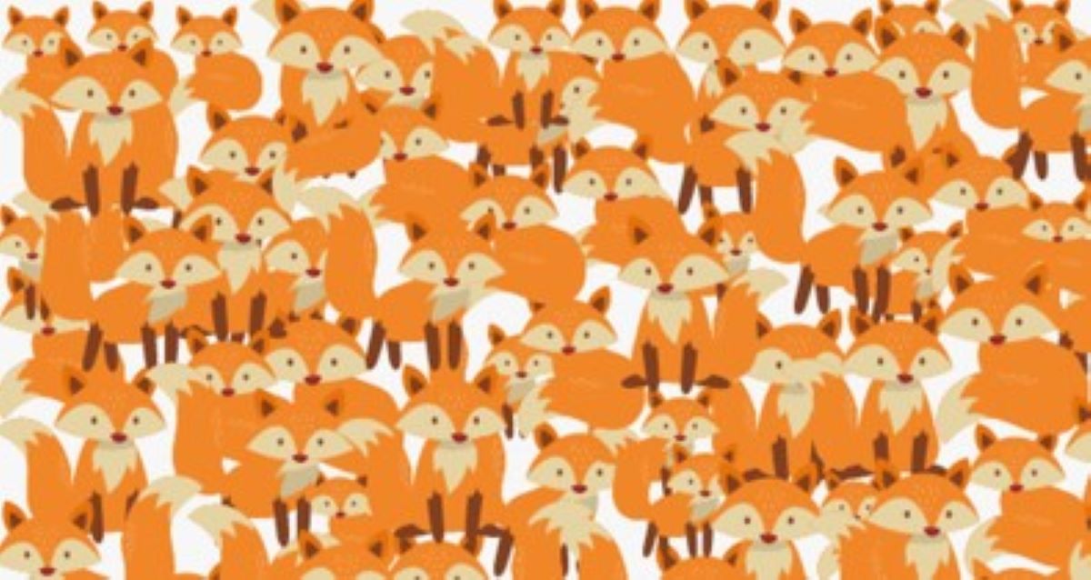 Οπτική ψευδαίσθηση: Μόνο αν είσαι ο Σέρλοκ Χολμς θα βρεις την γάτα σε 6 δευτερόλεπτα