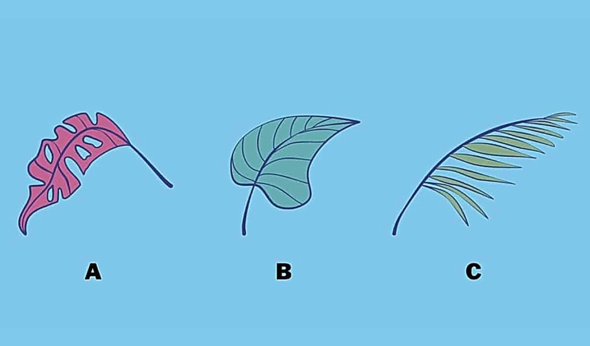 Τεστ προσωπικότητας: Το φύλλο που θα επιλέξετε αποκαλύπτει την σχέση σας με τις οικογενειακές παραδόσεις