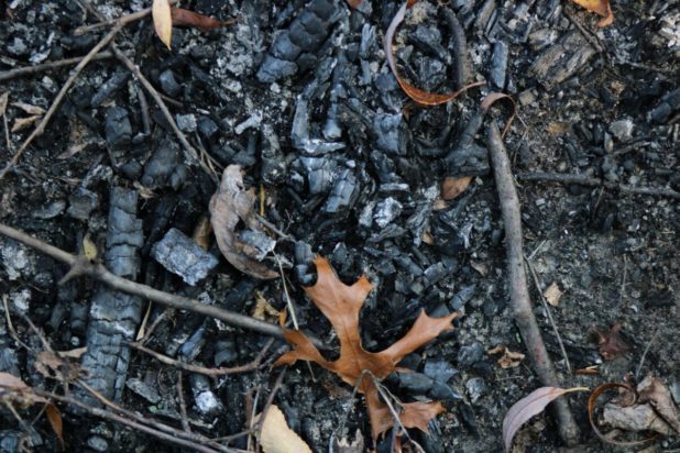 Τι σημαίνει η φράση «στάχτη και μπούλμπερη» και από πού προέρχεται