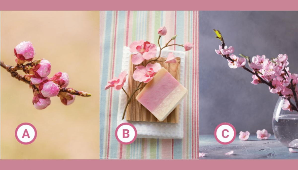 Τεστ προσωπικότητας: Το ροζ λουλούδι που θα επιλέξετε αποκαλύπτει αν είστε μια δημιουργική ιδιοφυΐα ή μετρ της λογικής