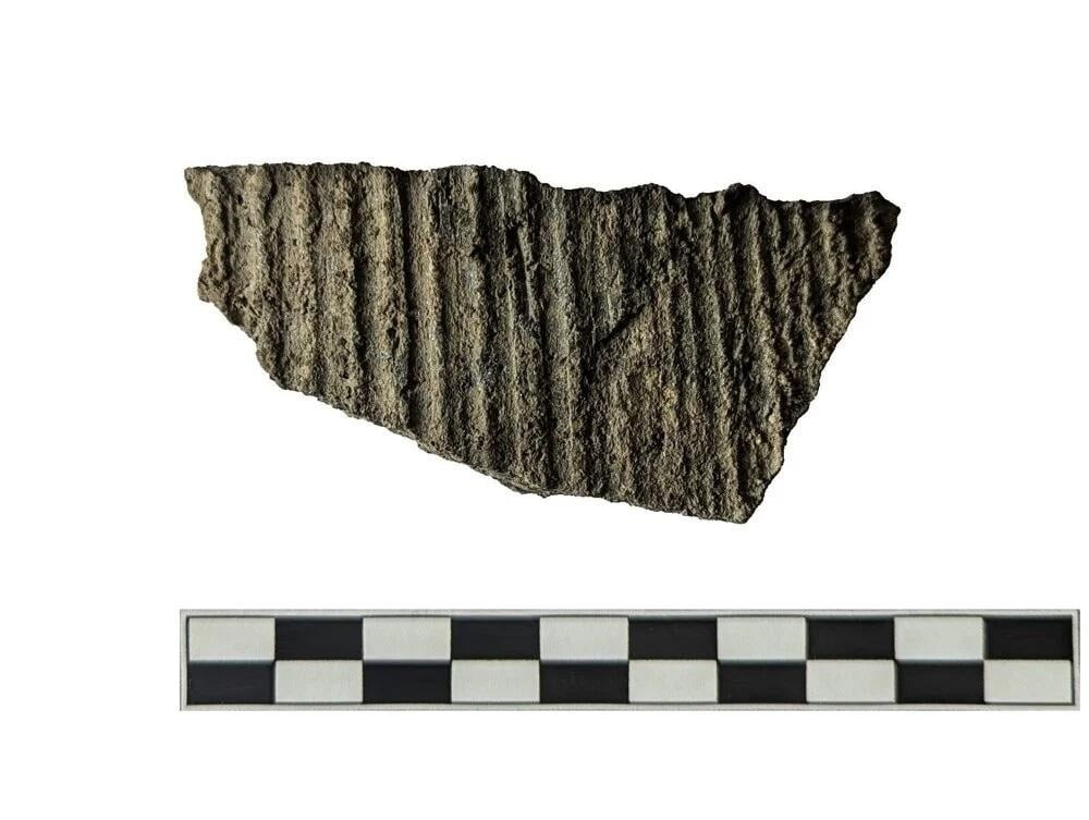 Θραύσμα της Εποχής του Σιδήρου. Φωτογραφία: A. Fónod