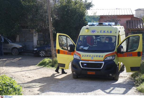 φωτιά Μενίδι