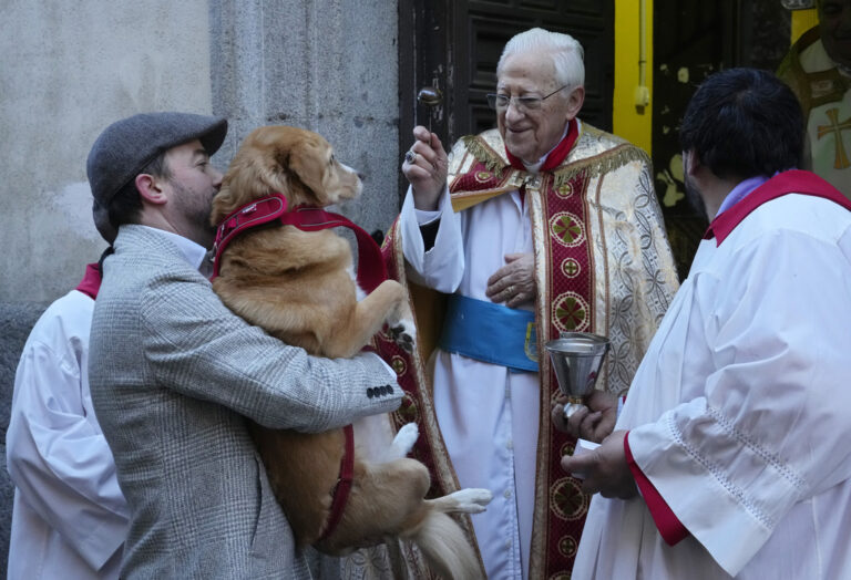 Ισπανία: Σκύλοι, γάτες και μια κότα δέχτηκαν την ευλογία της Εκκλησίας σε παραδοσιακή τελετή - Δείτε βίντεο