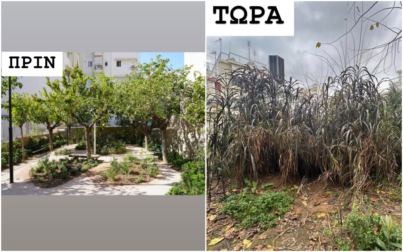 Μπακογιάννης: Αυτοψία σε πάρκο – τσέπης στο Παγκράτι – «Θύμωσα πολύ στη θέα της εγκατάλειψης και της κατάντιας»