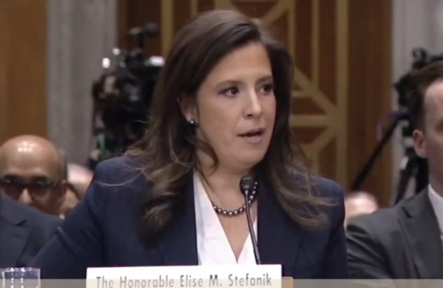 ΕΛΙΖ ΣΤΕΦΑΝΙΚ